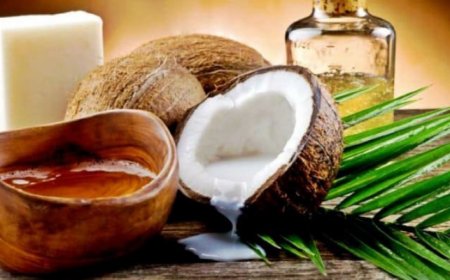 Hindistan Cevizi Yağı Nedir?