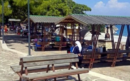 Topçam Plajı Piknik Alanı