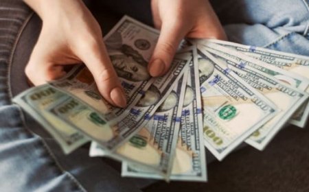 Varlık Barışı Nedir?