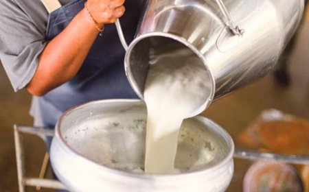 Çiğ Süt Krizi Olabilir