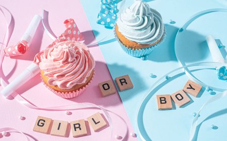 Cinsiyet Öğrenme Partisi Hakkında Bilmeniz Gerekenler