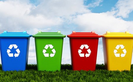 Sıfır Atık Kutusu Nedir? Çeşitleri Nelerdir?