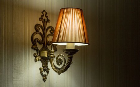 Aplik Nedir? Nereden Alınır?