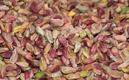 Boz İç Nedir? Faydaları Nelerdir?