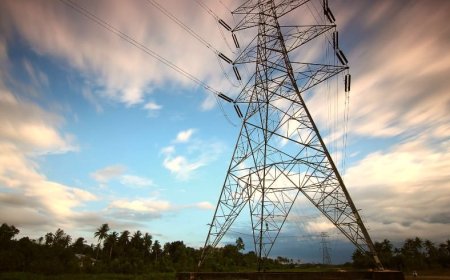 Elektrik Sektörü Nedir?