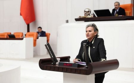 Nimet Özdemir'in Genç İstihdam Önerisi