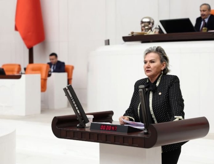 Nimet Özdemir'in Genç İstihdam Önerisi